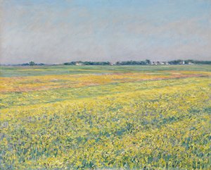 ジェヌヴィリエの平野、黄色のフィールド 作： Gustave Caillebotte